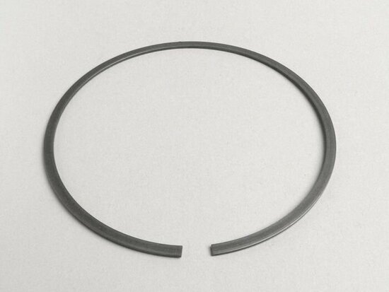 Zeegerring koppeling tbv 6 veren 97mm